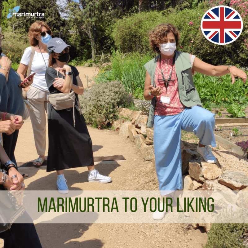 Marimurtra to your liking | Guided Tour Marimurtra Botanical Gardenrimurtra