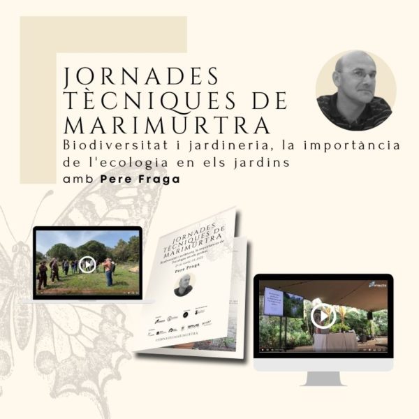 Producte virtual JTM 25.03 Pere Fraga Marimurtra