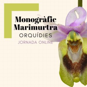 MONOGRAFIC MARIMURTRA ONLINE orquídies