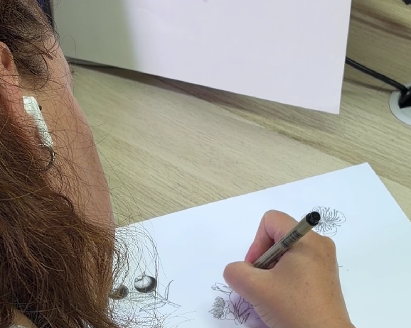 Il·lustració científica Ana Ruano