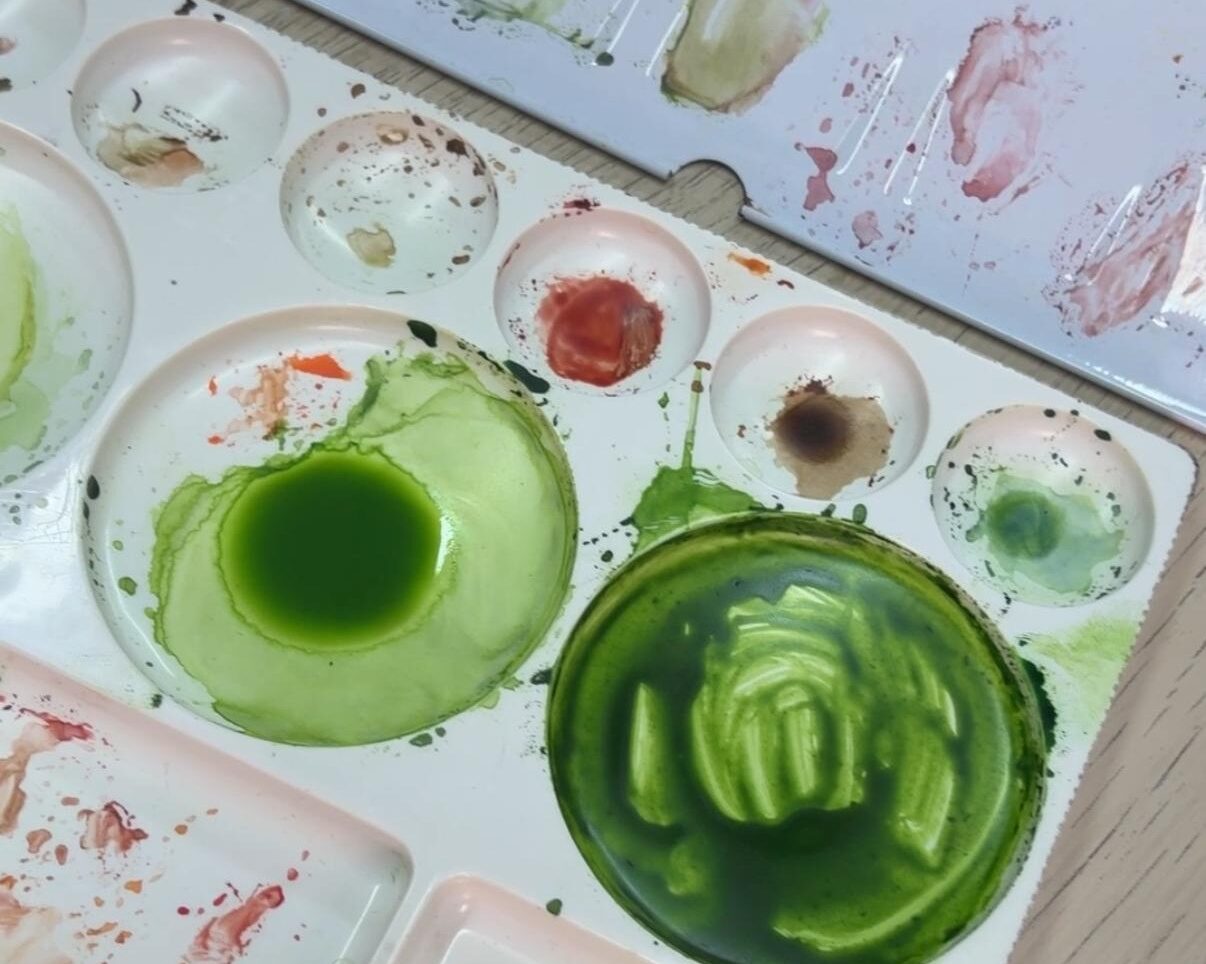 Il·lustració científica Ana Ruano
