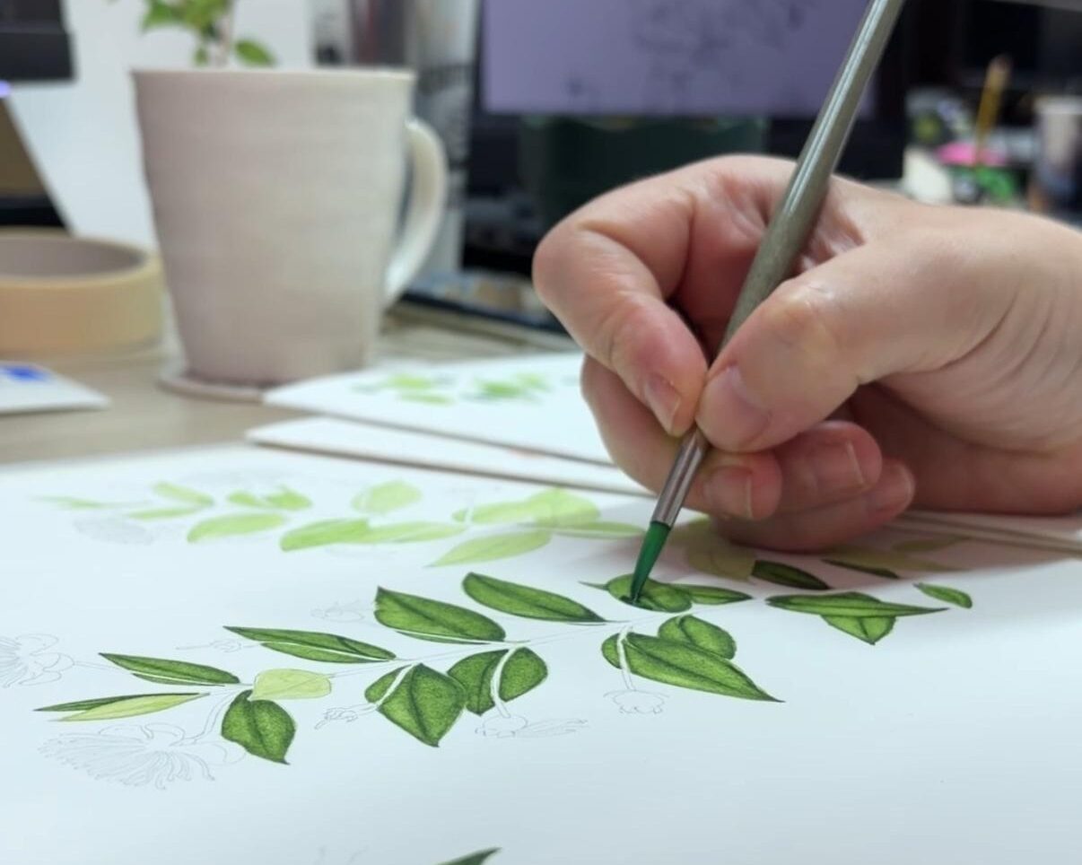 Il·lustració científica Ana Ruano